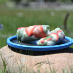 Healthy summer spring roll recipe