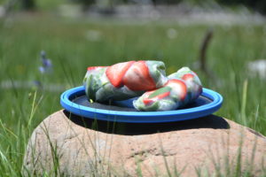 Healthy summer spring roll recipe