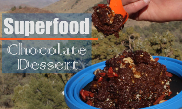 Superfood Chocolate Dessert