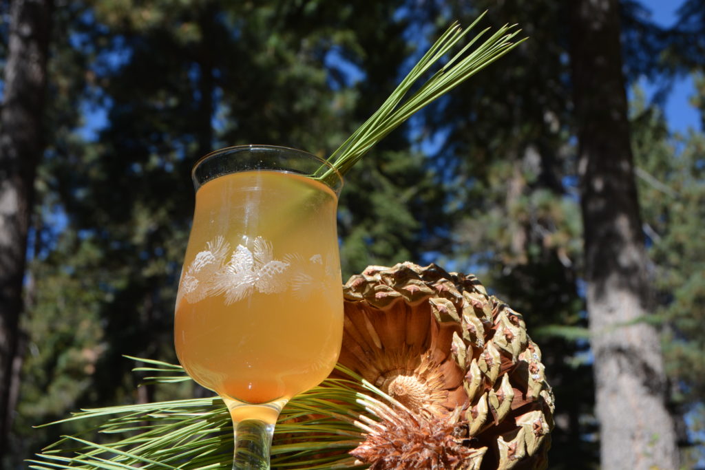 A Hot Toddy cocktail featuring Pine Needle Tea